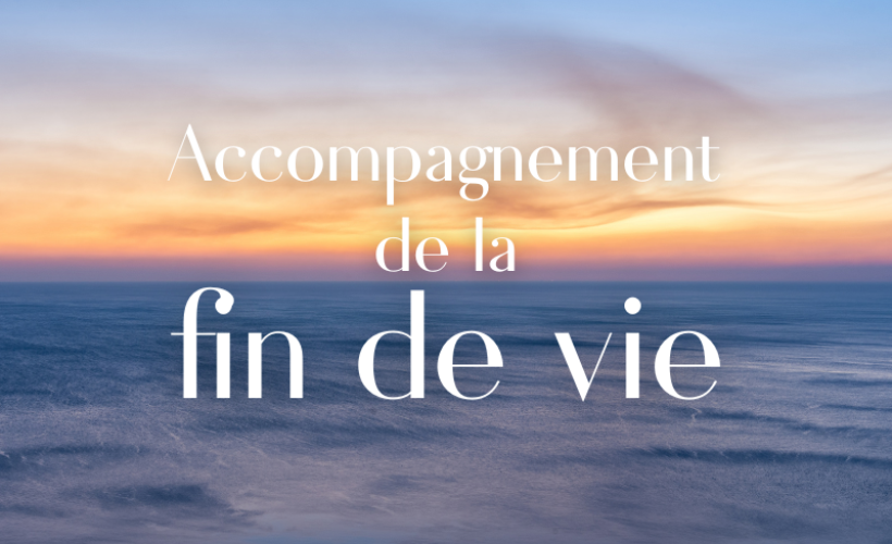 findevie oksite